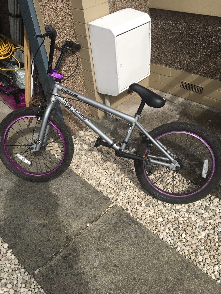 silver mongoose